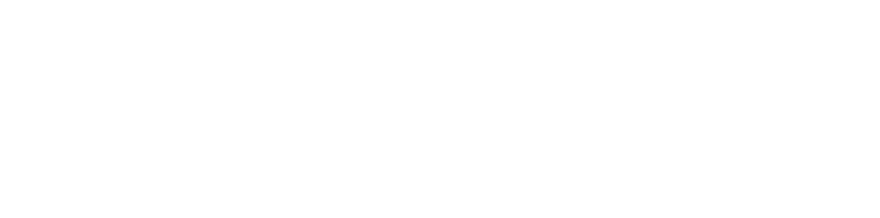 End Mass Migration Logo White